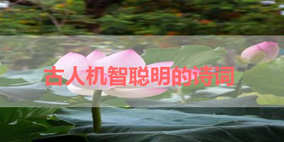 古人机智聪明的诗词 