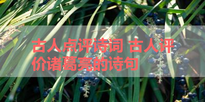 古人点评诗词 古人评价诸葛亮的诗句 