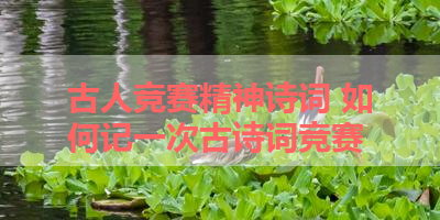 古人竞赛精神诗词 如何记一次古诗词竞赛 