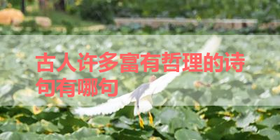 古人许多富有哲理的诗句有哪句 