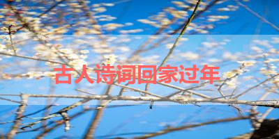 古人诗词回家过年 