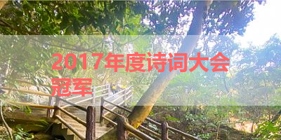 2017年度诗词大会冠军 