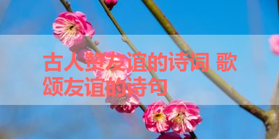 古人赞友谊的诗词 歌颂友谊的诗句 