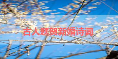 古人题贺新婚诗词 