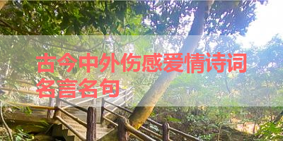 古今中外伤感爱情诗词名言名句 