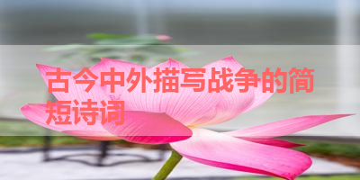 古今中外描写战争的简短诗词 