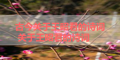 古今关于王昭君的诗词 关于王昭君的诗词