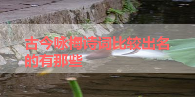 古今咏梅诗词比较出名的有那些 