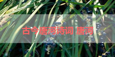 古今唐河诗词 唐河