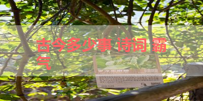 古今多少事 诗词 霸气 