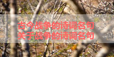 古今战争的诗词名句 关于战争的诗词名句
