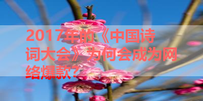 2017年的《中国诗词大会》为何会成为网络爆款？ 