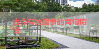古今有关战争的两句诗词 