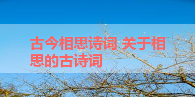 古今相思诗词 关于相思的古诗词
