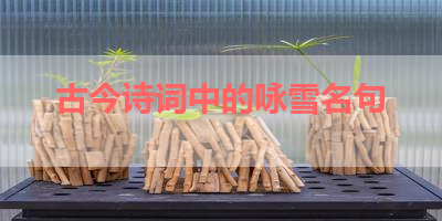 古今诗词中的咏雪名句 