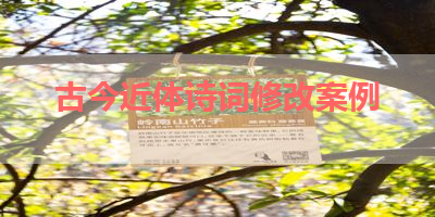 古今近体诗词修改案例 