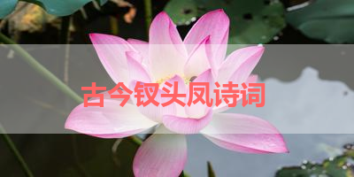 古今钗头凤诗词 
