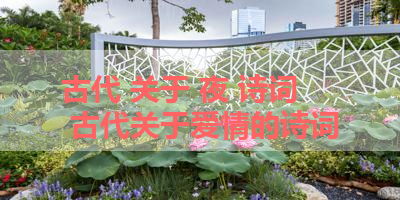 古代 关于 夜 诗词 古代关于爱情的诗词