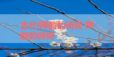 古代i押韵的诗词 押韵的诗词
