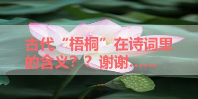 古代“梧桐”在诗词里的含义？？谢谢…… 