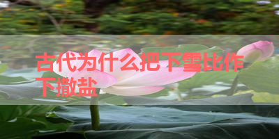 古代为什么把下雪比作下撒盐 