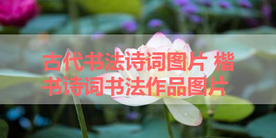 古代书法诗词图片 楷书诗词书法作品图片