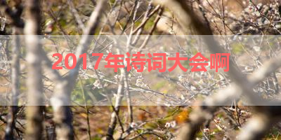 2017年诗词大会啊 