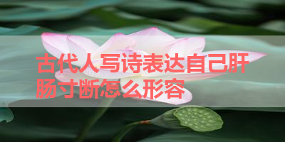 古代人写诗表达自己肝肠寸断怎么形容 