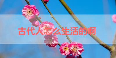 古代人怎么生活的啊 