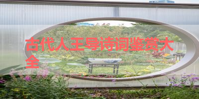 古代人王导诗词鉴赏大全 
