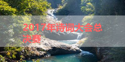 2017年诗词大会总决赛 