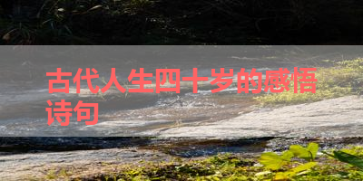 古代人生四十岁的感悟诗句 