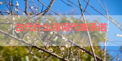 古代什么诗词代表承诺 