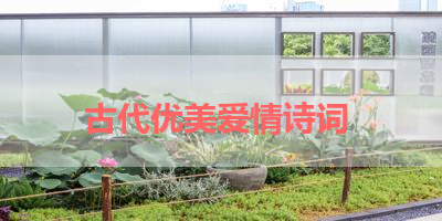 古代优美爱情诗词 