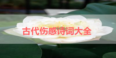 古代伤感诗词大全 