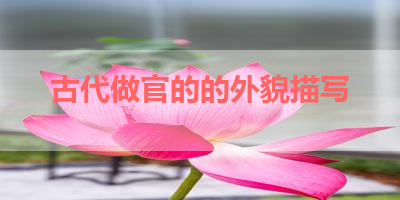 古代做官的的外貌描写 