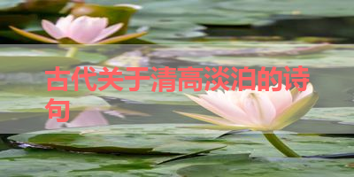 古代关于清高淡泊的诗句 