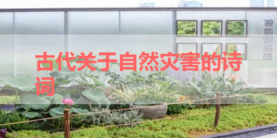 古代关于自然灾害的诗词 