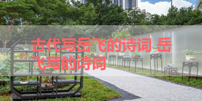 古代写岳飞的诗词 岳飞写的诗词