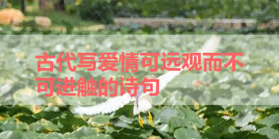 古代写爱情可远观而不可进触的诗句 