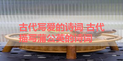 古代写爱的诗词 古代描写蒲公英的诗词