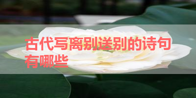 古代写离别送别的诗句有哪些 