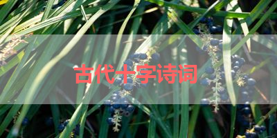 古代十字诗词 