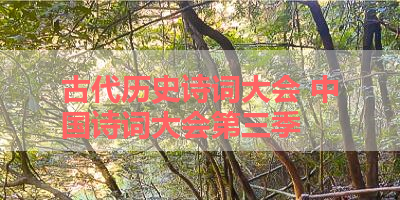 古代历史诗词大会 中国诗词大会第三季