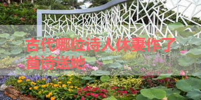 古代哪位诗人休妻作了首诗送她 