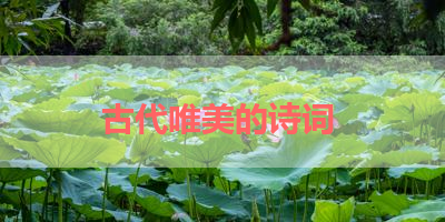 古代唯美的诗词 