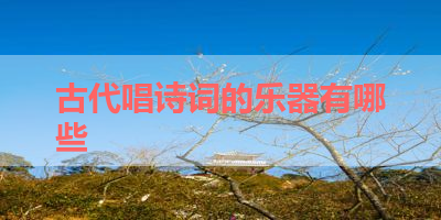 古代唱诗词的乐器有哪些 