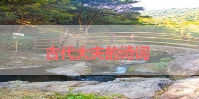 古代大夫的诗词 