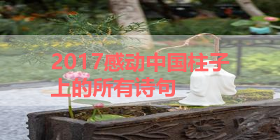 2017感动中国柱子上的所有诗句 