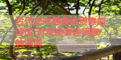 古代女对男表达爱意的诗词 对女孩表达爱意的诗词